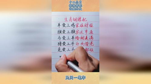 十二生肖姻缘运势表查询(十二生肖姻缘配对 12属相婚配表配)