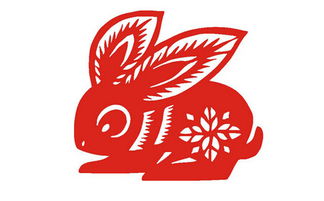 鼠女生肖配对姻缘分析(鼠女的生肖婚配)