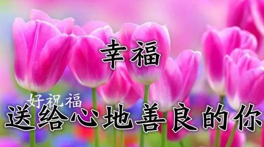 上天祝福的姻缘是什么(上天赐予的缘分)