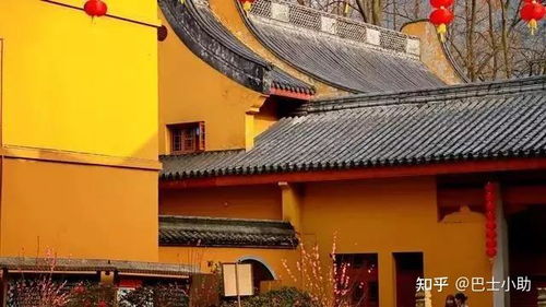 龙头寺可以求姻缘嘛吗(龙头寺可以求姻缘嘛吗多少钱)