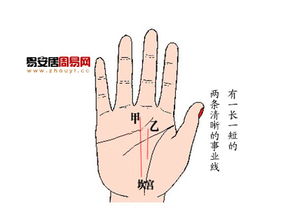 男女手掌姻缘怎么看结婚(男女手掌纹路怎么看)