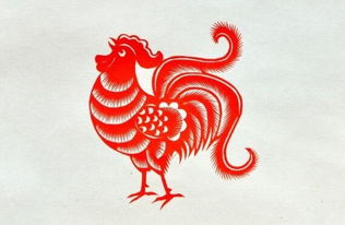 属鸡的2022年姻缘运(属鸡2021婚姻运势)