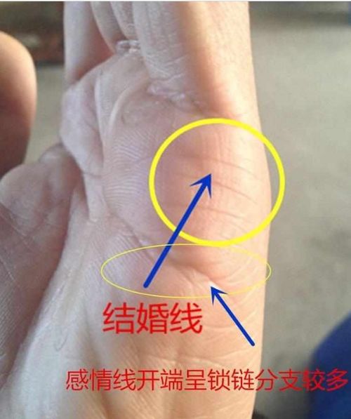 手纹姻缘线有交叉的(婚姻线有交叉纹)