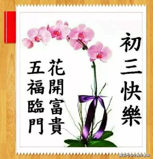 两岸姻缘祝福诗句(两岸姻缘祝福诗句图片)