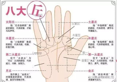 姻缘突变的手相图解(姻缘突变的手相图解视频)