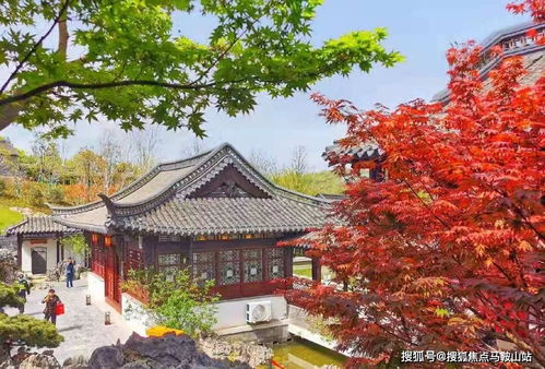 姻缘真的会回来吗小说(姻缘真的会错过吗)