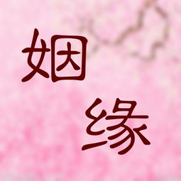 算命算出来姻缘不合(算命算出来姻缘不合怎么回事)
