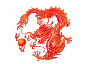 1988年属龙人姻缘(1988年属龙姻缘在哪年最旺盛)