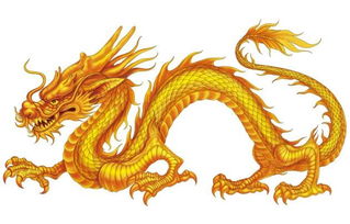 2020属龙男生的姻缘(2020属龙男生的姻缘运势)
