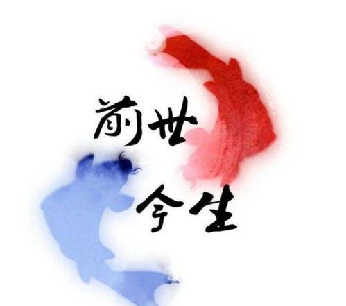平淡一生姻缘前定(平淡一生姻缘前定是什么动物)