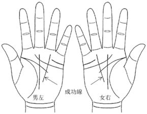手相姻缘线男人的命运(手相姻缘线的全面分析)