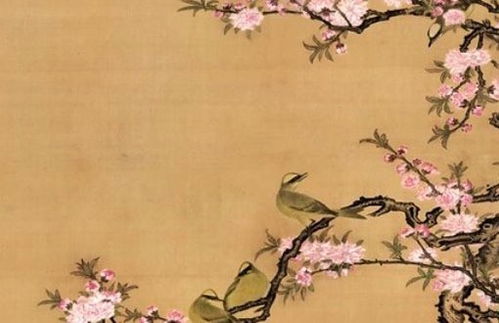 猴兔姻缘怎么样(猴兔婚姻)