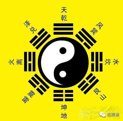 下巽上兑占姻缘(易经巽下兑上)