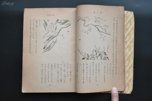 《姻缘令》作者 耳东霁(姻缘令小说笔趣阁)