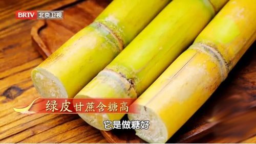 上海一消费者称花91元买一根甘蔗(上海甘蔗多少钱一根)