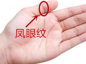 有好姻缘的手纹好吗(手相婚姻缘分)