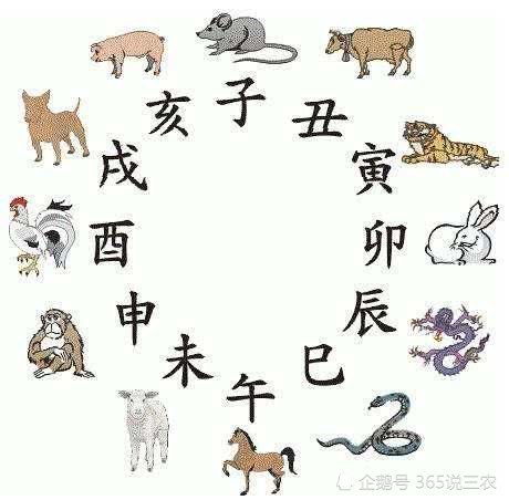 壬辰日柱 壬寅年姻缘(壬辰日遇壬寅年运程)