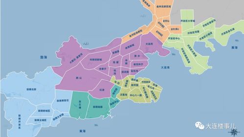 1981属鸡哪年走姻缘(1981年属鸡2021年姻缘)