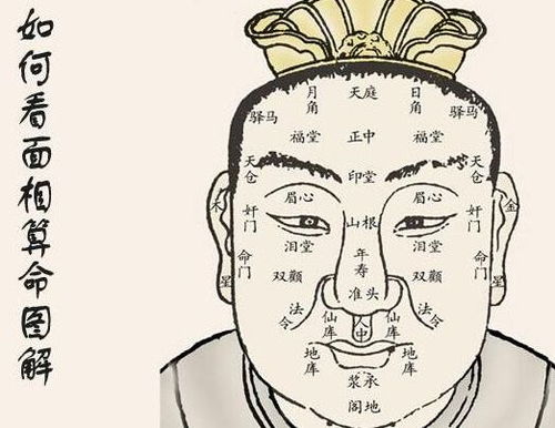 道教看面相姻缘准吗(道教看面相算命准吗)