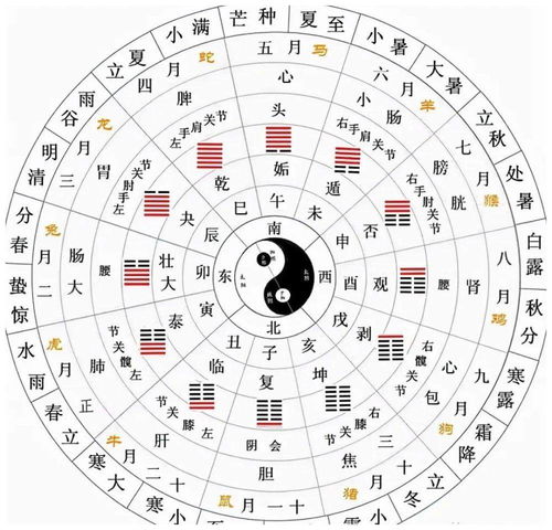 火泽睽卦上九姻缘(火泽睽卦占财运)