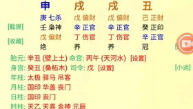 97年女最佳姻缘配对(97年女的婚配)