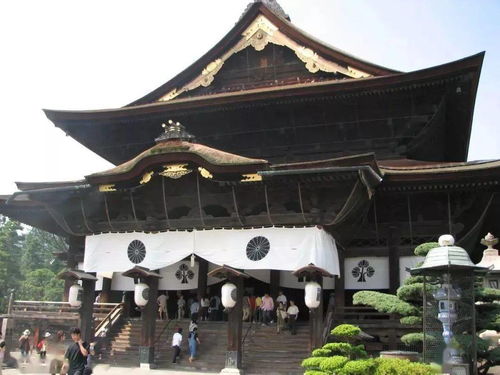 阳江哪里问姻缘准不准(阳江市哪里有寺庙)