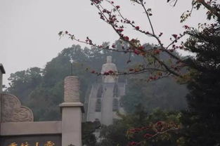 海沧有没有寺庙看姻缘(海沧区主要寺庙景点)