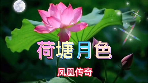 姻缘很美的传说句子(寓意美好姻缘的句子)