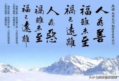 前世注定今生姻缘的句子(前世注定是姻缘什么生肖)