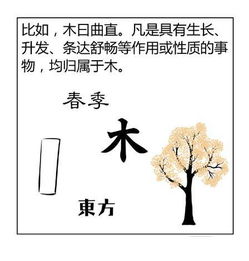 八字如何看懂姻缘(八字如何看懂姻缘图)