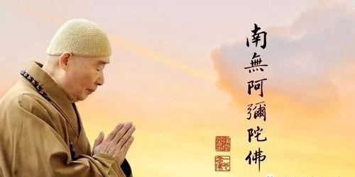 看前世姻缘的因果轮回(看前世姻缘的因果轮回怎么看)