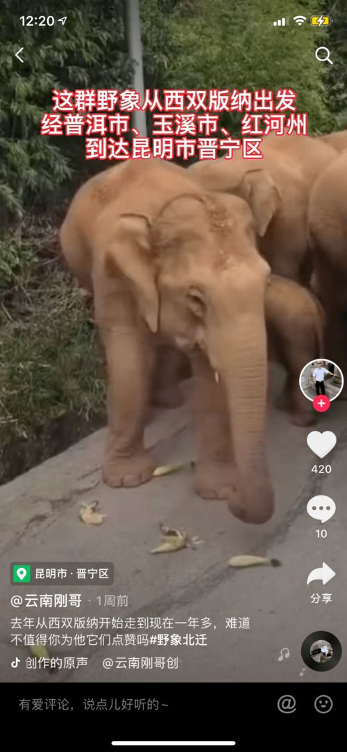 左手抖代表姻缘到了吗(左手抖的厉害)