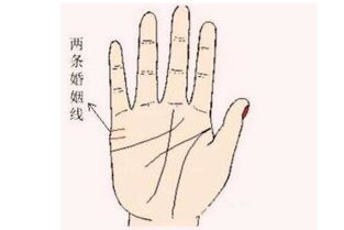 注定前世姻缘的手相女(前世注定是姻缘)