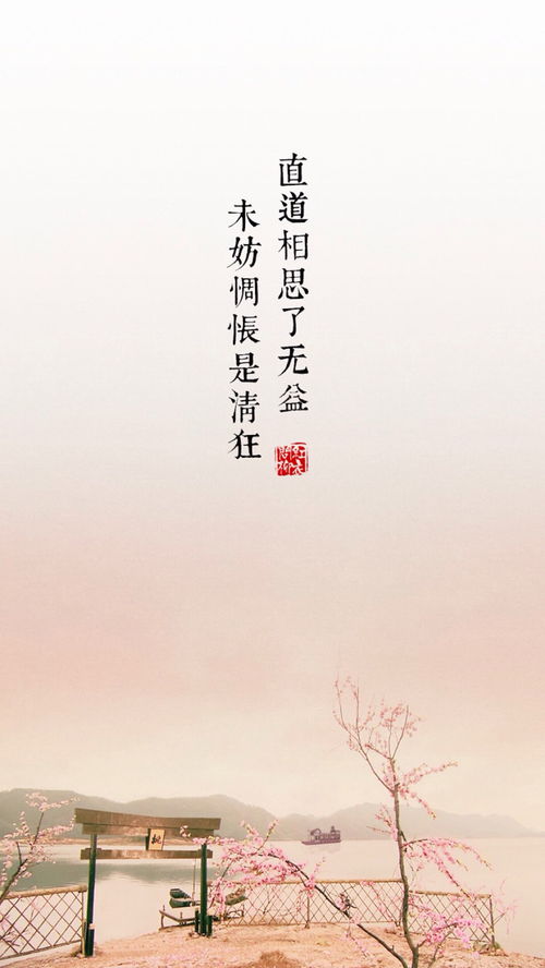 珍惜前世姻缘的图片文字(前世姻缘的说说)