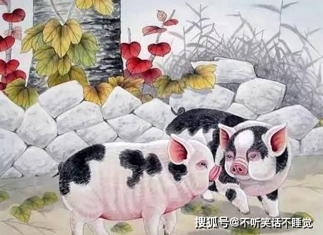 属兔有前世姻缘吗(属兔的缘分姻缘)
