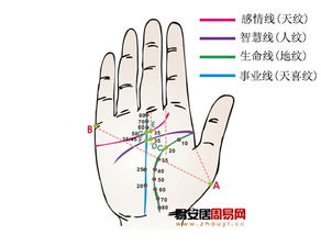 手纹哪条是姻缘线图解(手纹哪条是婚姻线?