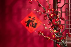 姻缘咒之陆渝昭(姻缘咒有什么用)