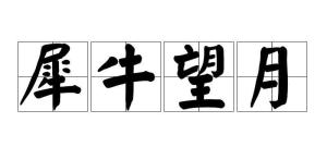犀牛望月解姻缘签(犀牛望月解释)