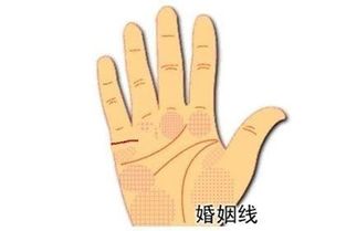 姻缘线要怎么绑by(拴姻缘线)