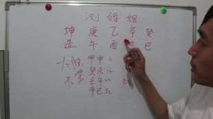 命格看姻缘解析图(命格分析查询)