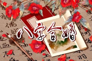 月柱偏财看姻缘(月柱偏财的女命)