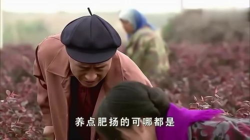 赵四八字看姻缘(赵四和谁是两口子)