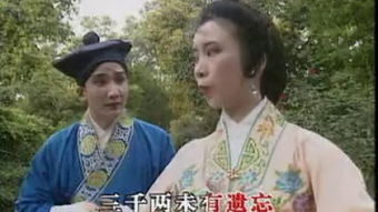 电影三笑姻缘免费观看(电影三笑姻缘免费观看国语)