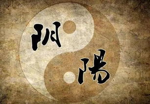 会不会有累世姻缘(会不会有累世姻缘的说法)