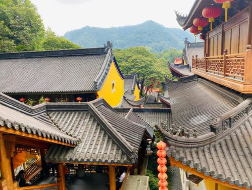哪个寺庙算姻缘比较准(哪个寺庙可以算姻缘)