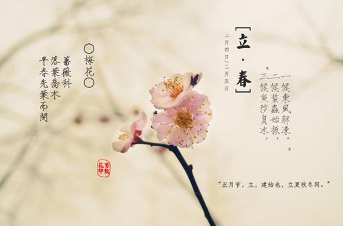 乙丑年生人的姻缘如何(乙丑年生人的姻缘如何)