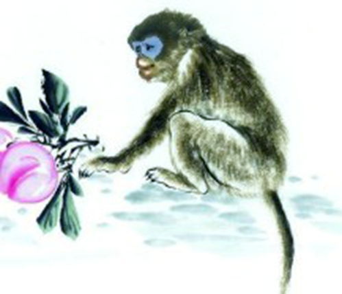 生肖猴姻缘财运解析视频(属猴婚姻运势)