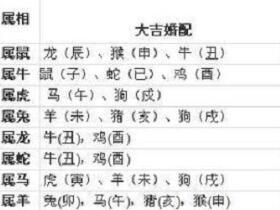95年属猴的人姻缘(95年属猴的属相婚配表)