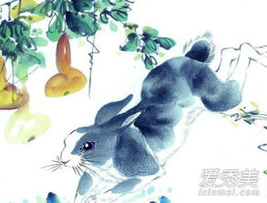 兔子与蛇的姻缘如何(兔子与蛇相配吗)