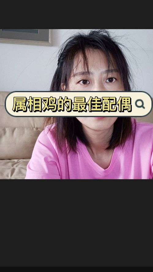用鸡换姻缘视频播放